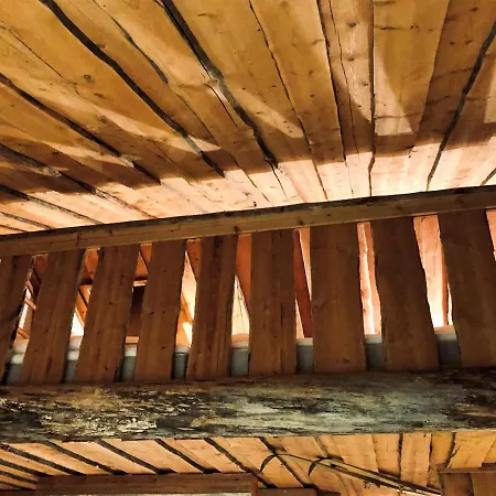 Pyha - Pyhamaja - Ski Tatil Evi