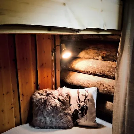 Tatil Evi Pyha - Pyhamaja - Ski