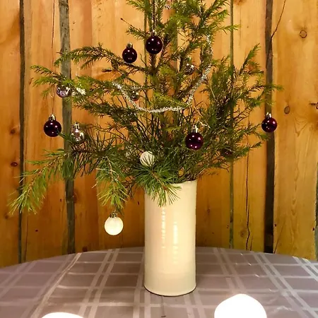 Pyha - Pyhamaja - Ski *
