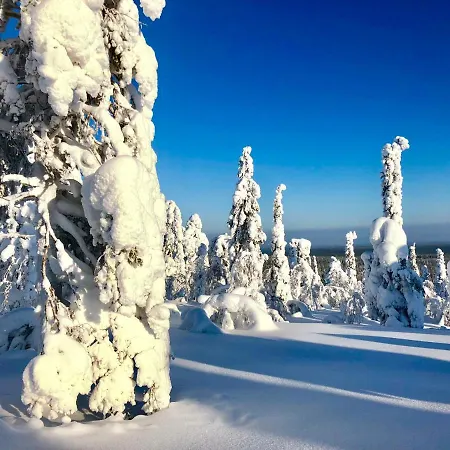 Tatil Evi Pyha - Pyhamaja - Ski *