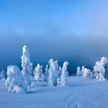 Pyha - Pyhamaja - Ski Tatil Evi Pyhätunturi